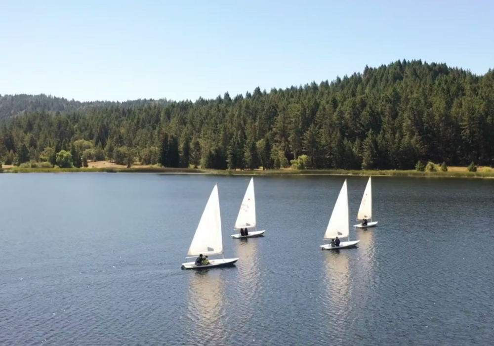 Wente Scout Reservation