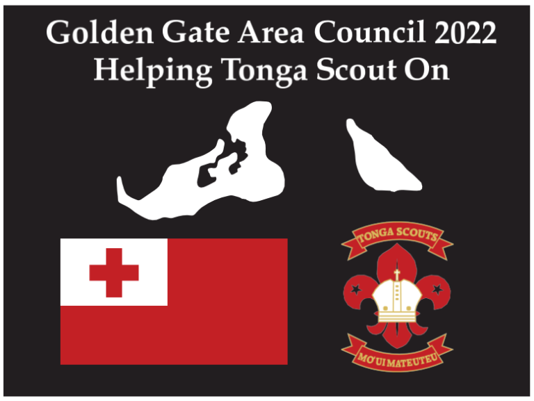 Patch-Tonga-768x577 Patch-Tonga-768x577