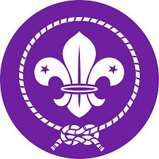 World-Scouting-Organization-Logo World-Scouting-Organization-Logo