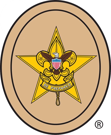 Scouts BSA ranks patch Star