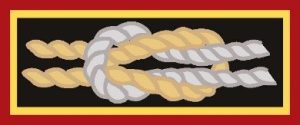 specialneeds Yellow-white double-knot award patch