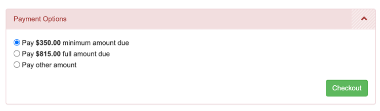 Provisional Camper Registration 10