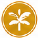 Merit Badge sponsor gold palm level