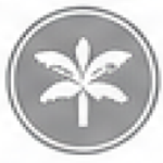 Merit Badge sponsor silver palm level