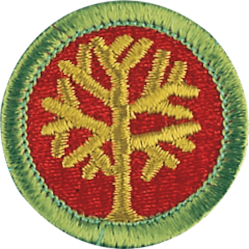 Genealogy merit badge patch