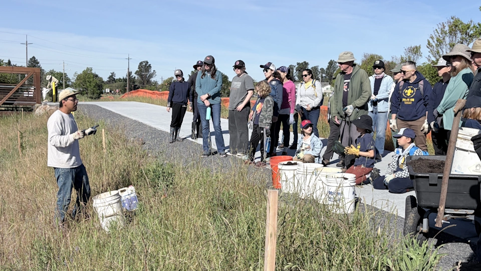 Pack 128 Sebastopol participate in Colgan Creek Clean-up & Creek to Coast Cleanup day.