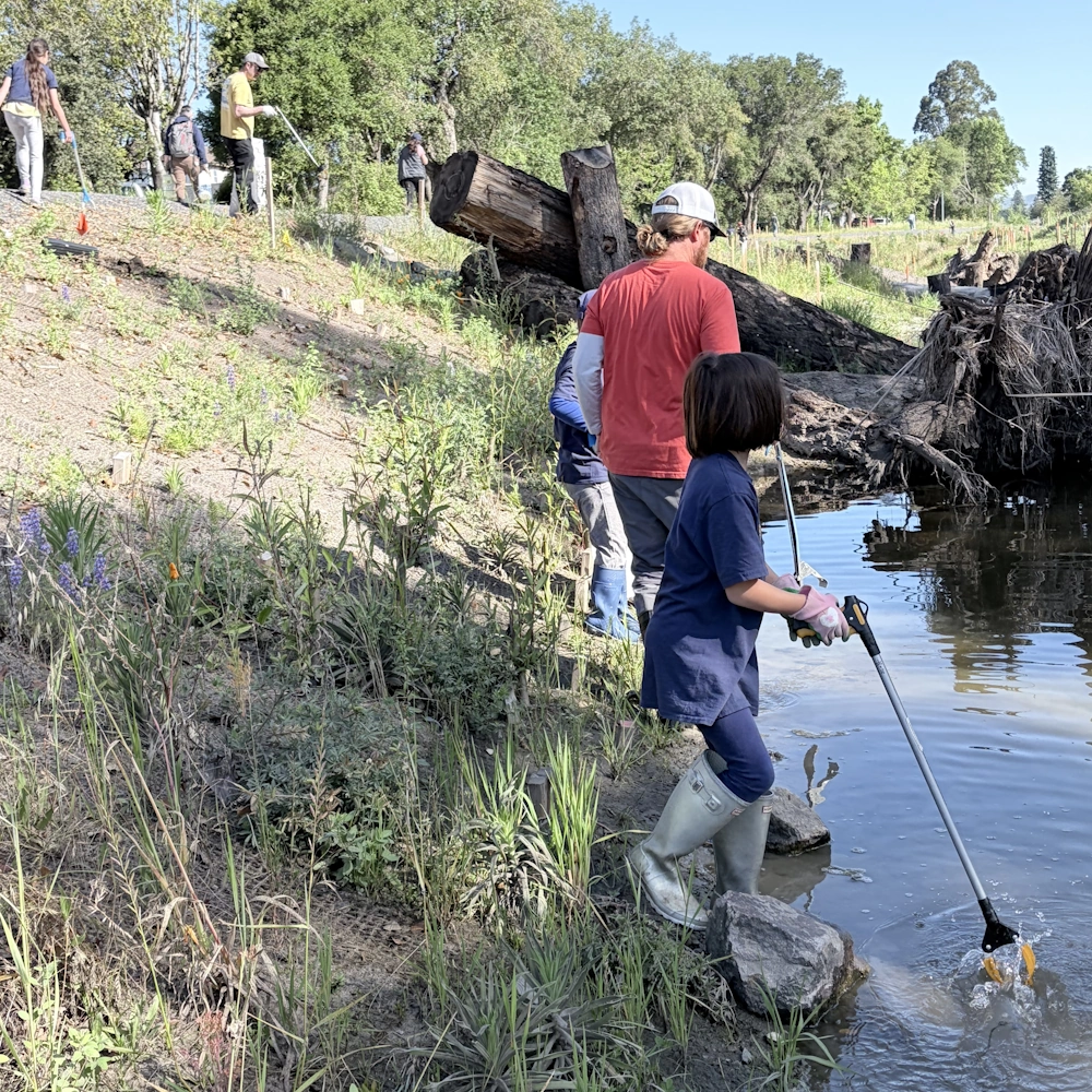 Pack 128 Sebastopol participate in Colgan Creek Clean-up & Creek to Coast Cleanup day.